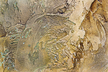 Similar image 1435562