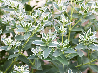 Similar image 1435563