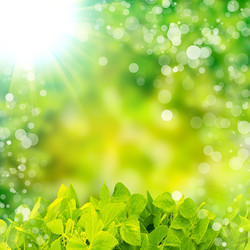 Similar image 1435566