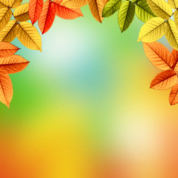 Similar image 1435568