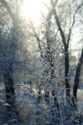 Similar image 1435696