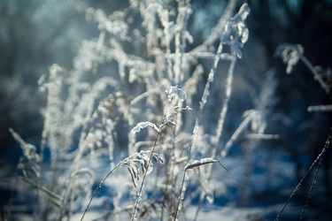 Similar image 1435700