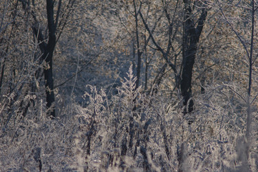 Similar image 1435703