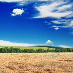 Similar image 1435707