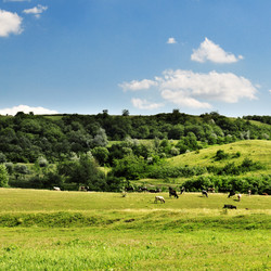 Similar image 1435708