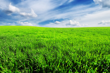 Similar image 1435714