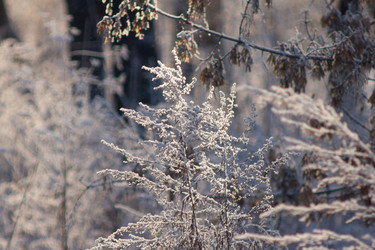 Similar image 1435716