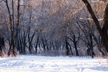 Similar image 1435718