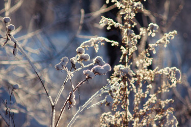 Similar image 1435720