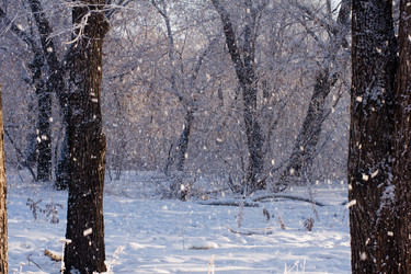 Similar image 1435723