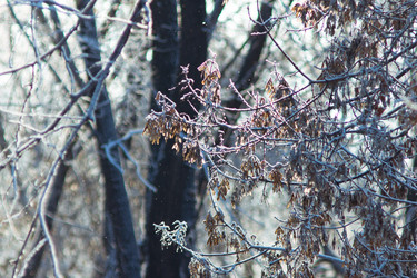 Similar image 1435724