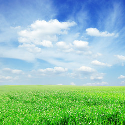 Similar image 1435728