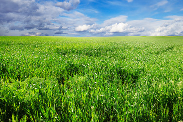 Similar image 1435731