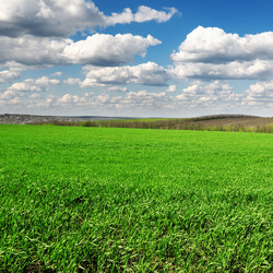 Similar image 1435734