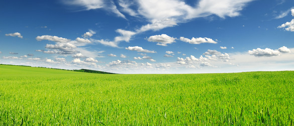 Similar image 1435735