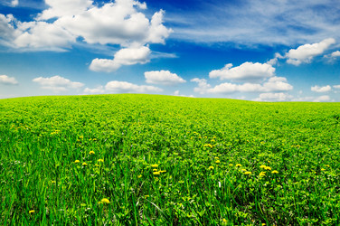 Similar image 1435752