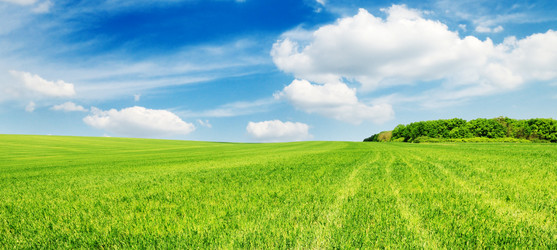 Similar image 1435755