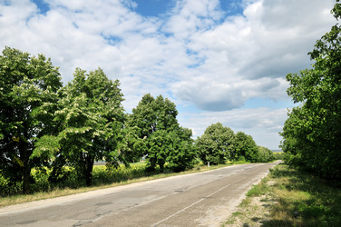 Similar image 1435762