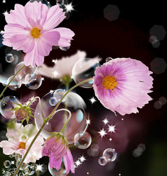 Similar image 1435765