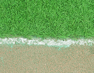 Similar image 1435799