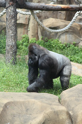 Similar image 1435841