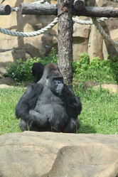 Similar image 1435842