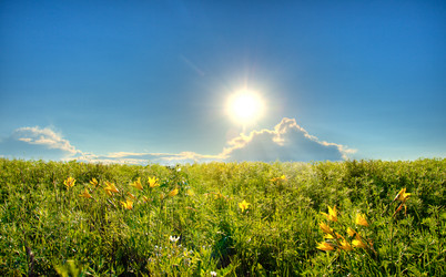 Similar image 1435847