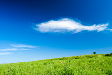 Similar image 1435848