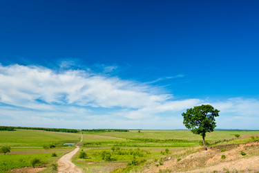 Similar image 1435853