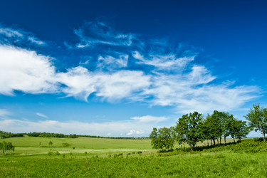 Similar image 1435855