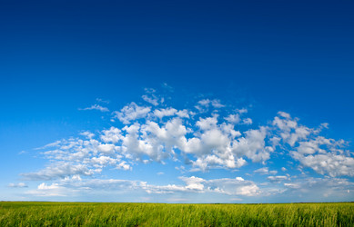 Similar image 1435859