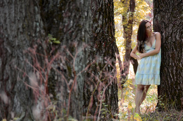 Similar image 1435860