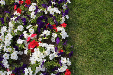 Similar image 1435889