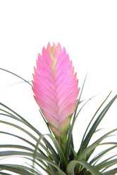 Similar image 1435945