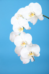 Similar image 1435956