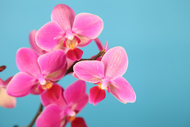 Similar image 1435958