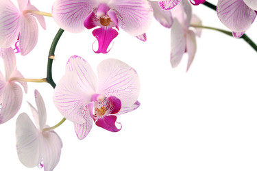 Similar image 1435960