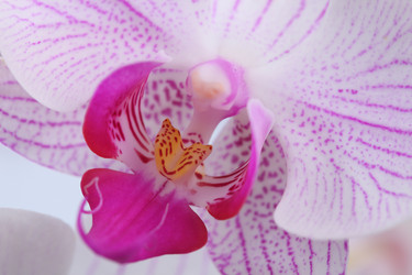 Similar image 1435962