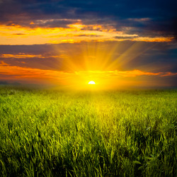 Similar image 1436234