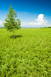 Similar image 1436236