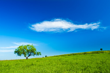 Similar image 1436238