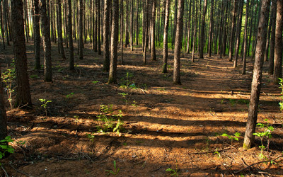 Similar image 1436240