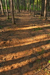 Similar image 1436241