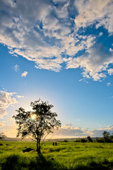 Similar image 1436249