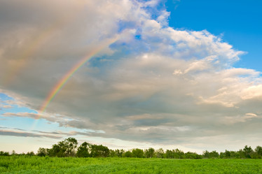 Similar image 1436251