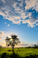 Similar image 1436259