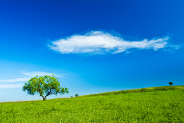 Similar image 1436265