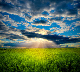 Similar image 1436269