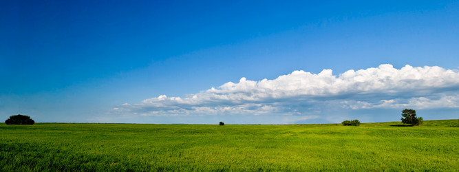 Similar image 1436272