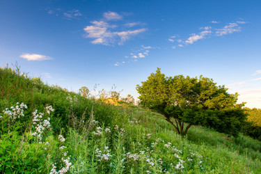 Similar image 1436274